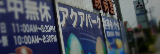 春日部 ペットショップ 熱帯魚 埼玉 ビーシュリンプ オスカー 古代魚 ダトニオ